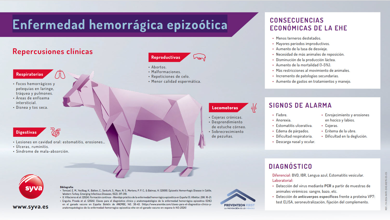 Syva Infografía sobre la enfermedad hemorrágica epizoótica: repercusiones ...